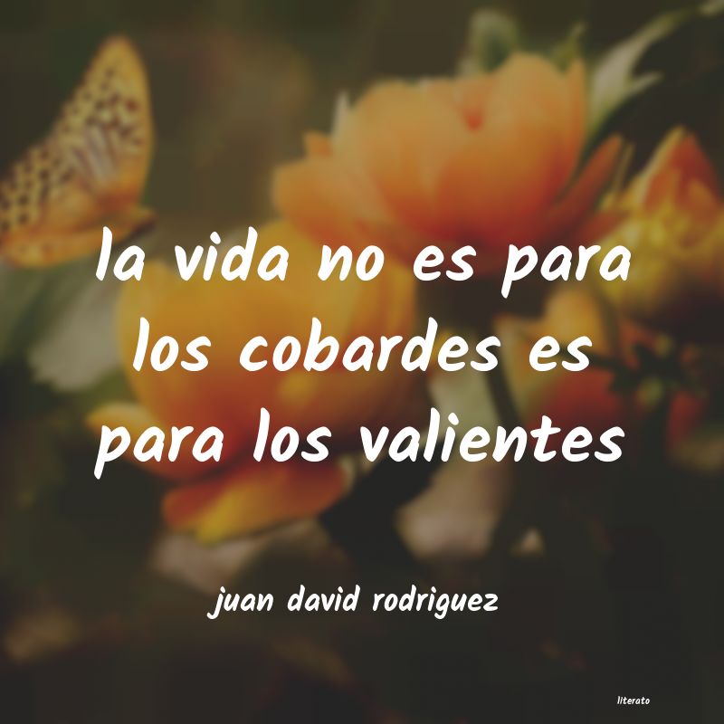 Frases de juan david rodriguez