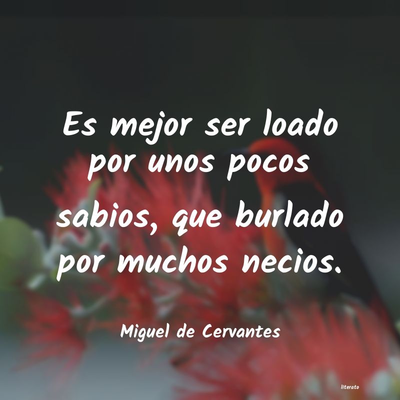 Frases de Miguel de Cervantes