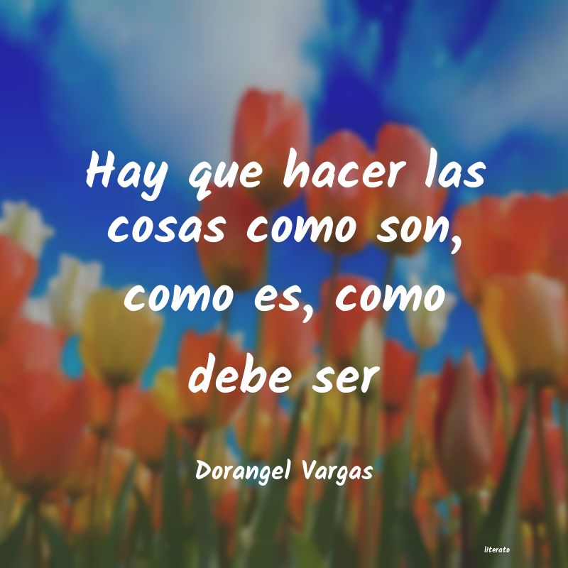 Frases de Dorangel Vargas