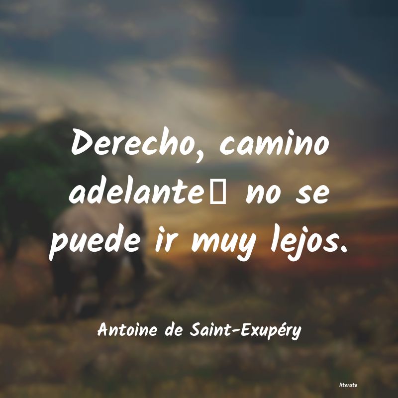 Frases de Antoine de Saint-Exupéry