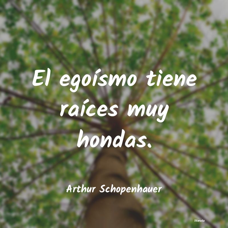 Frases de Arthur Schopenhauer