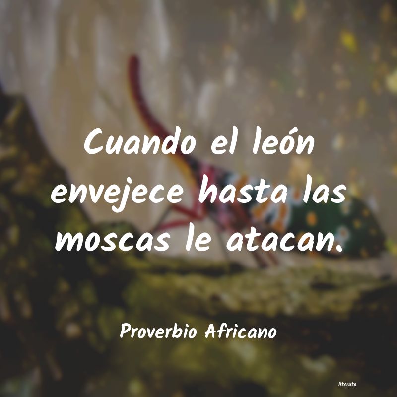 Frases de Proverbio Africano