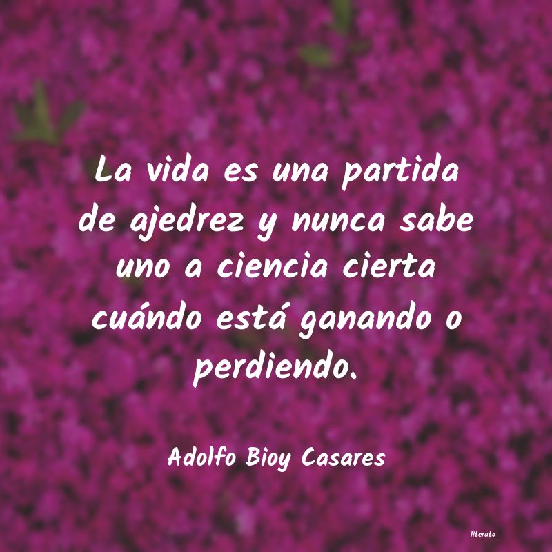 frases de Adolfo Bioy Casares
