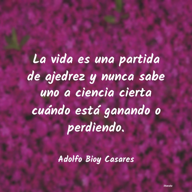 Frases de Adolfo Bioy Casares