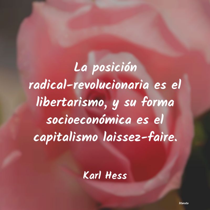 Frases de Karl Hess