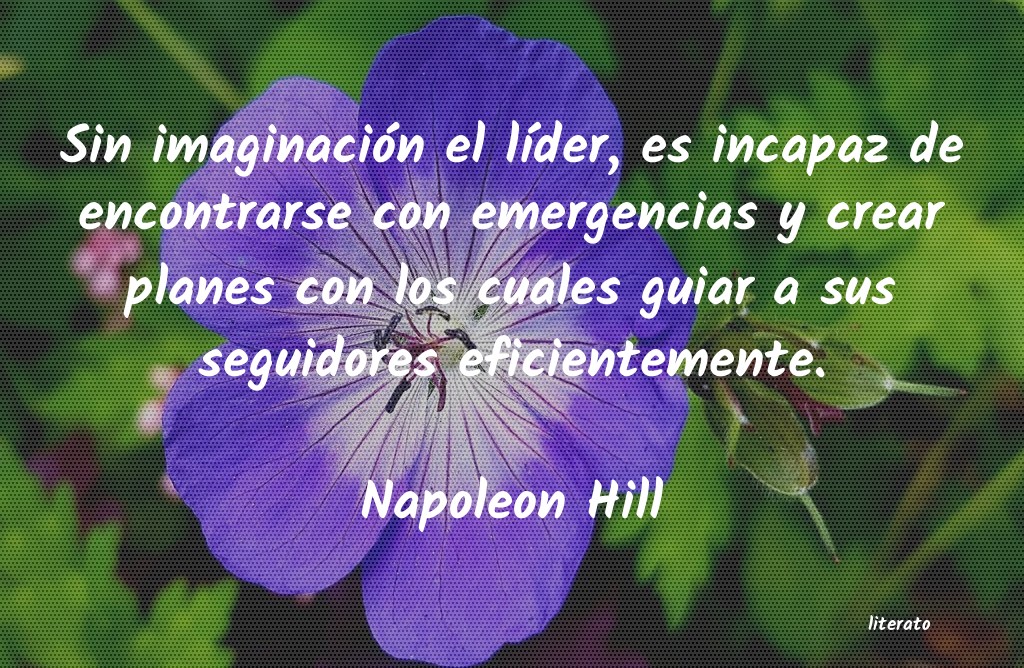 Frases de Napoleon Hill