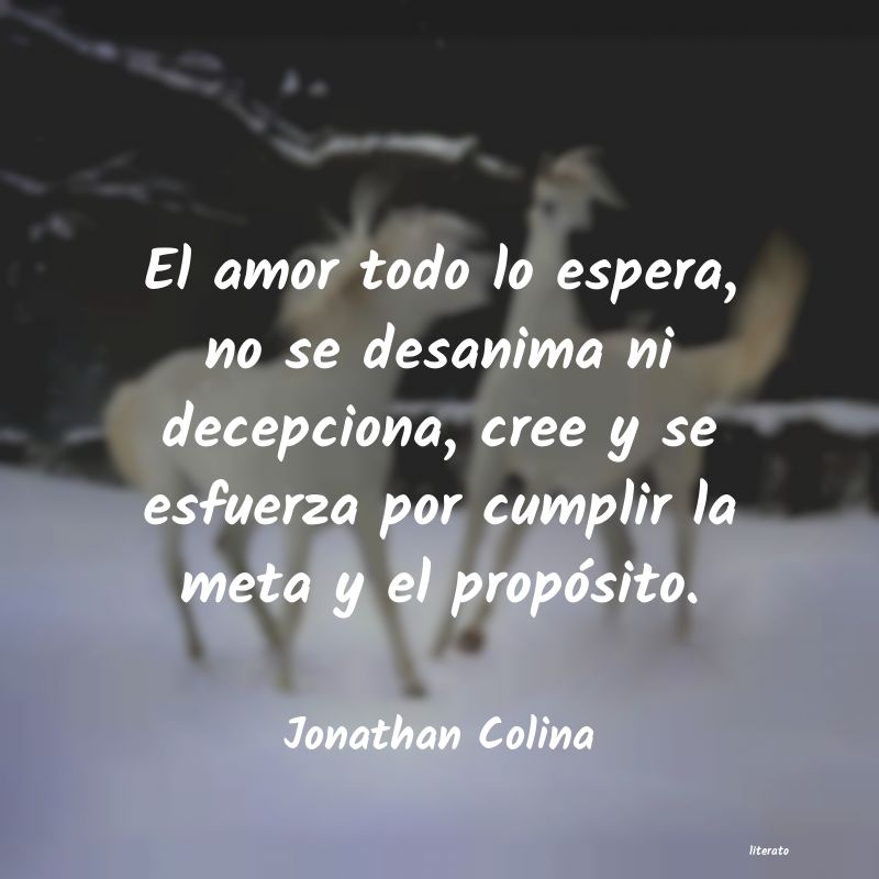 Frases de Jonathan Colina