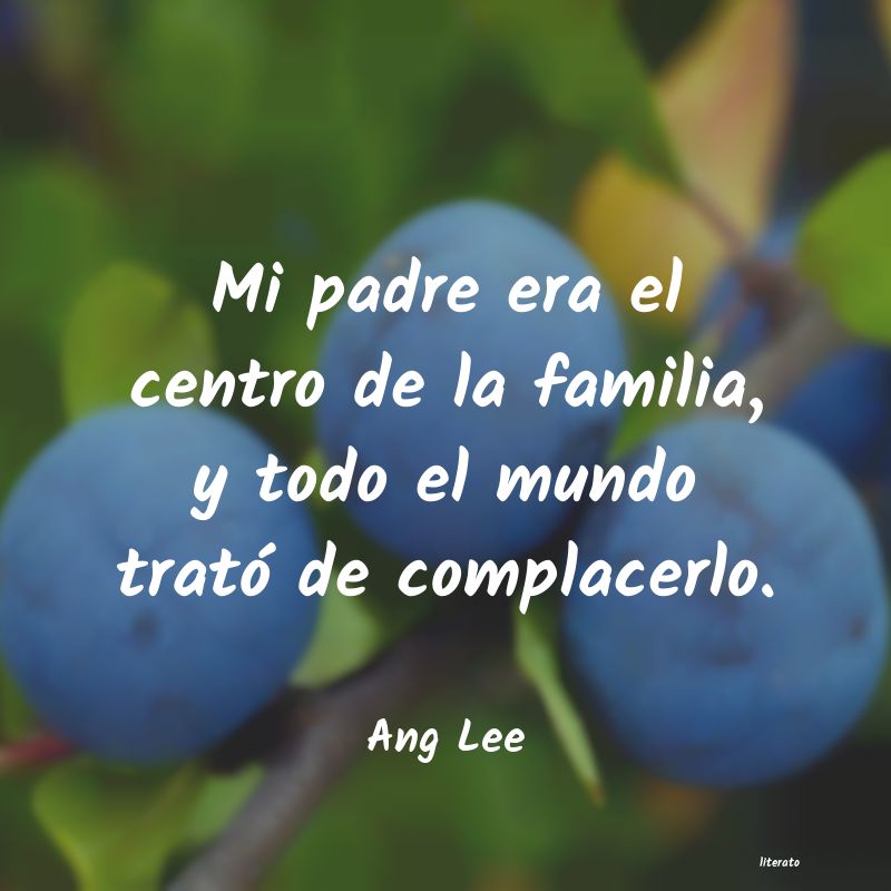frases de Ang Lee
