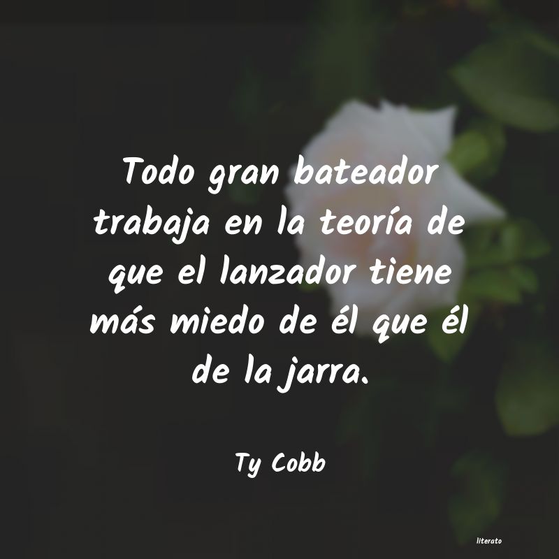 frases de Ty Cobb