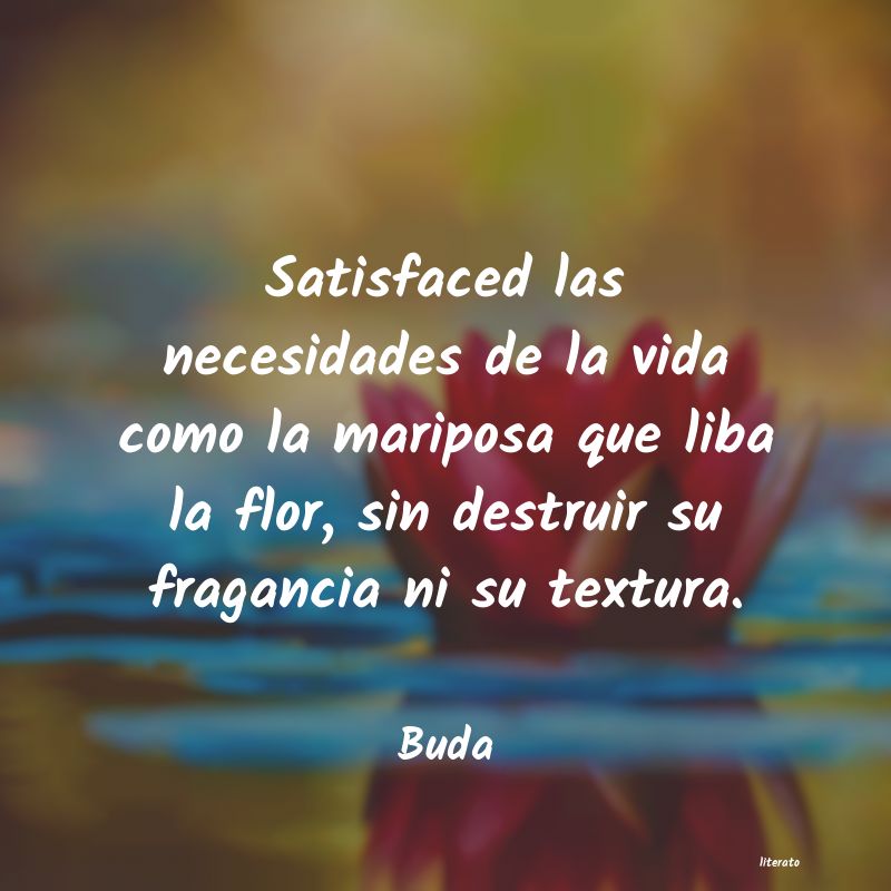 frases de Buda