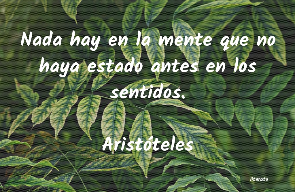 frases de Aristóteles