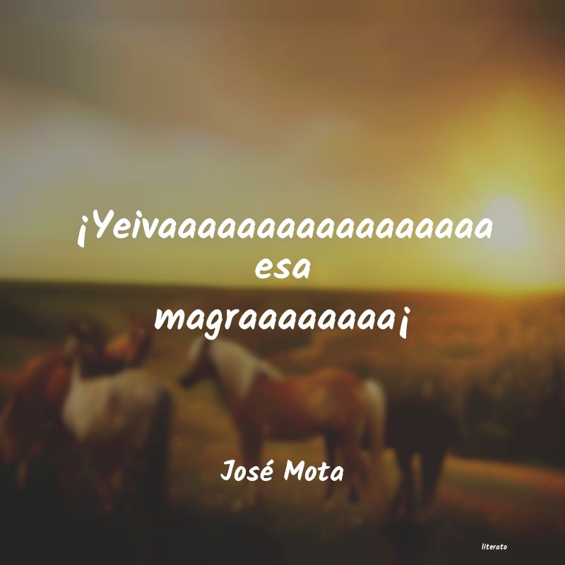 Frases de José Mota