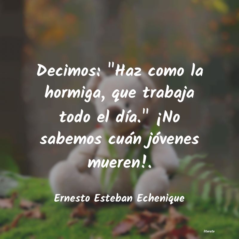 frases de Ernesto Esteban Echenique