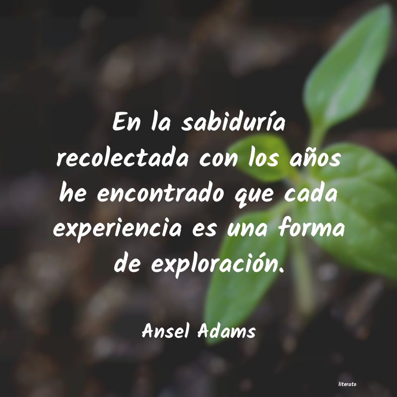 Frases de Ansel Adams