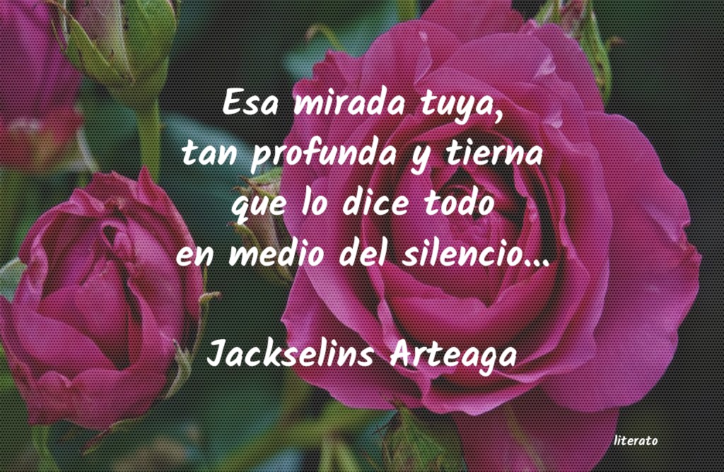 frases de Jackselins Arteaga