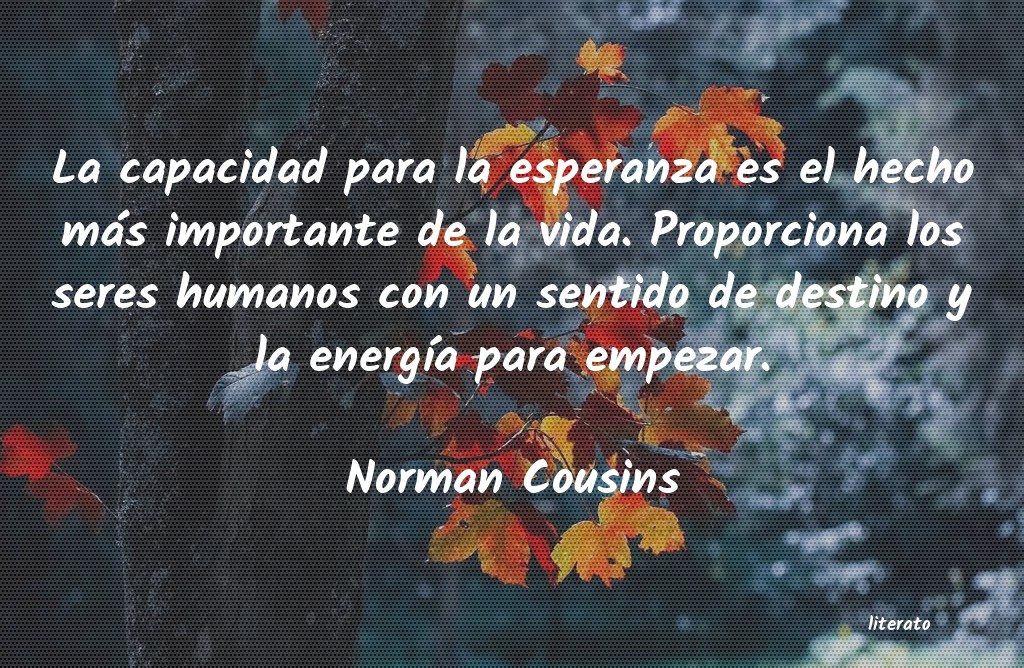 frases de Norman Cousins