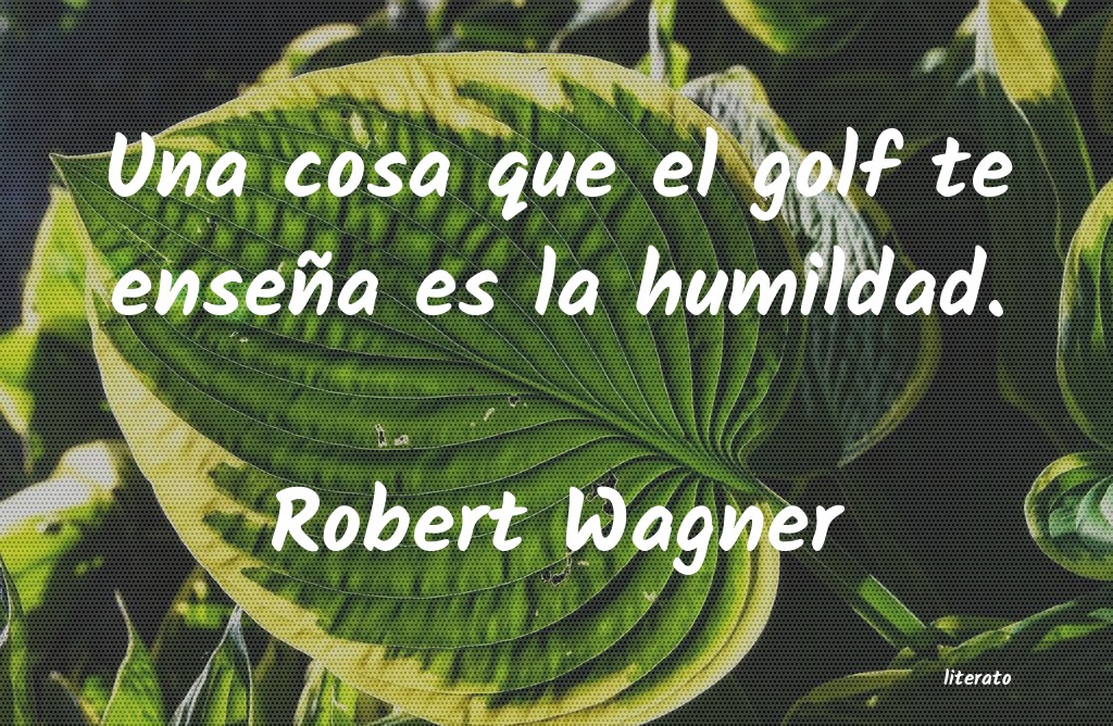 frases de Robert Wagner