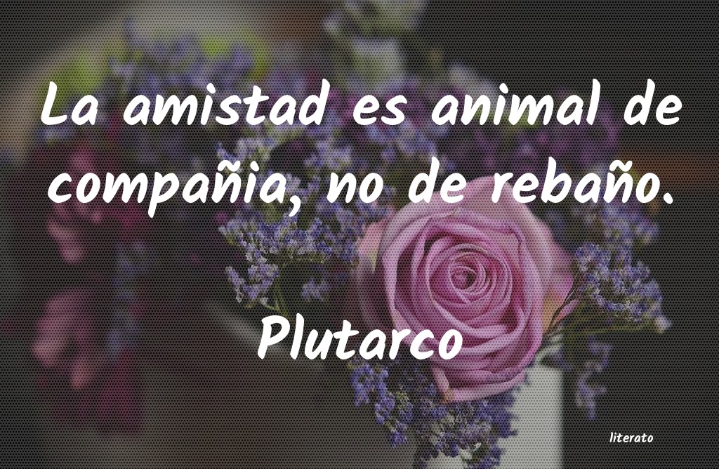 frases de Plutarco