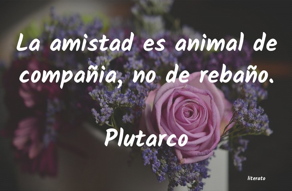 Frases de Plutarco