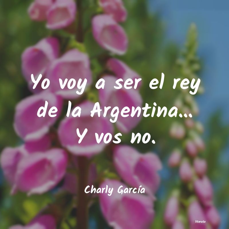 Frases de Charly García