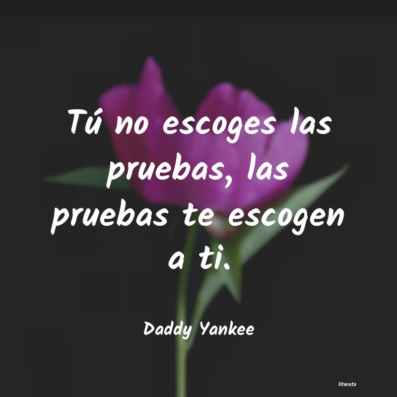 frases de Daddy Yankee