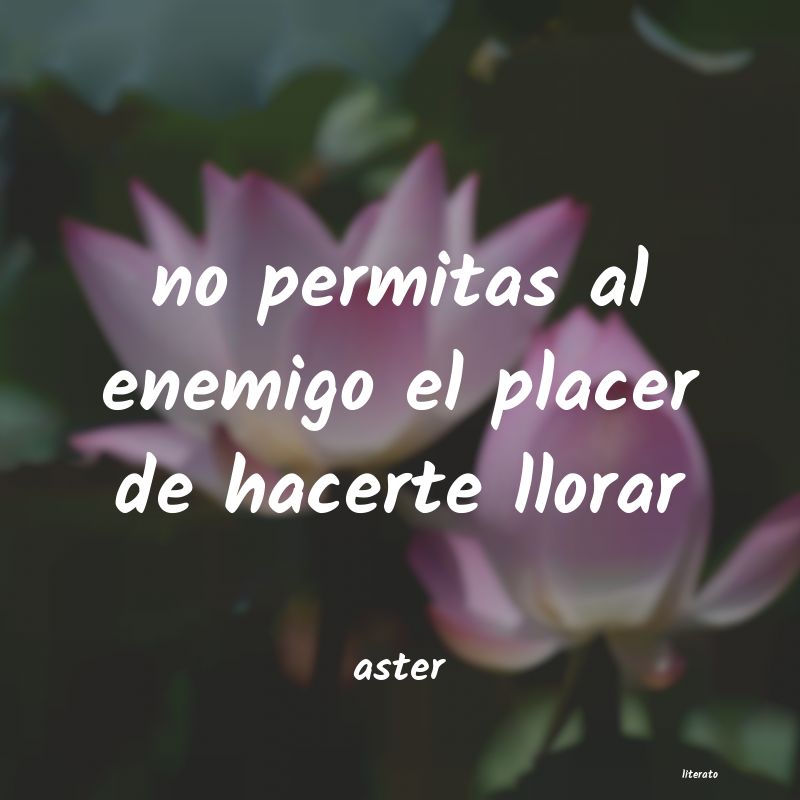 frases de aster