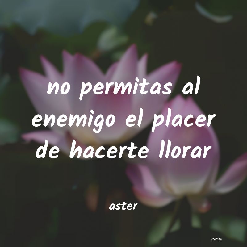 Frases de aster