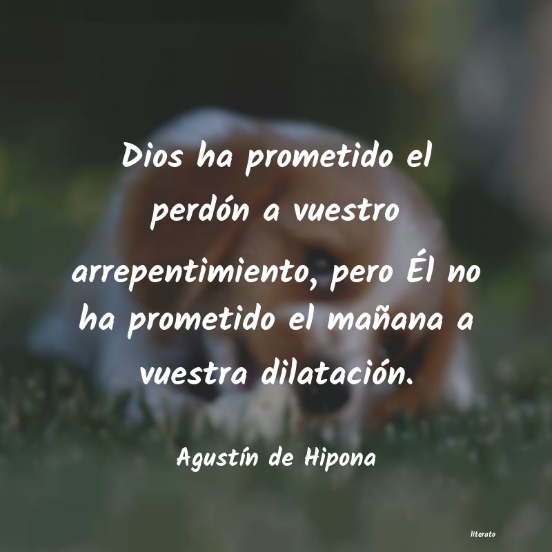 Frases de Agustín de Hipona