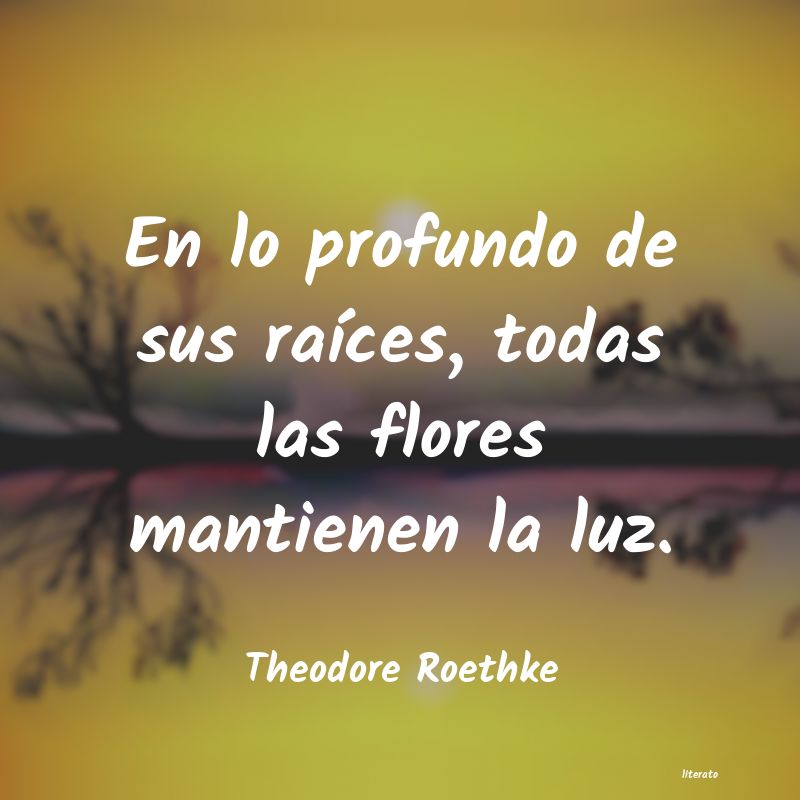 Frases de Theodore Roethke