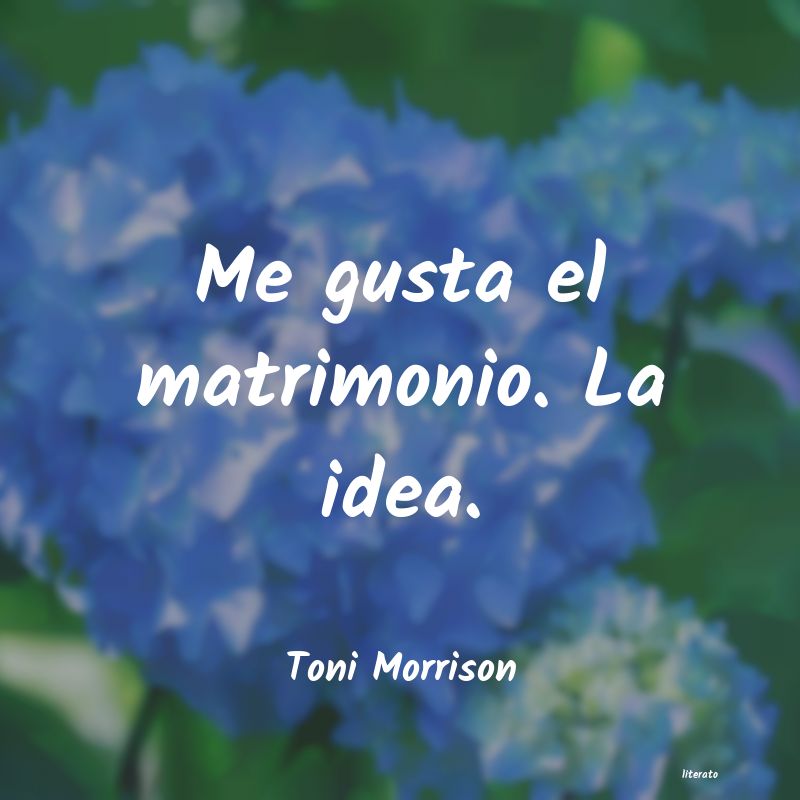 frases de Toni Morrison