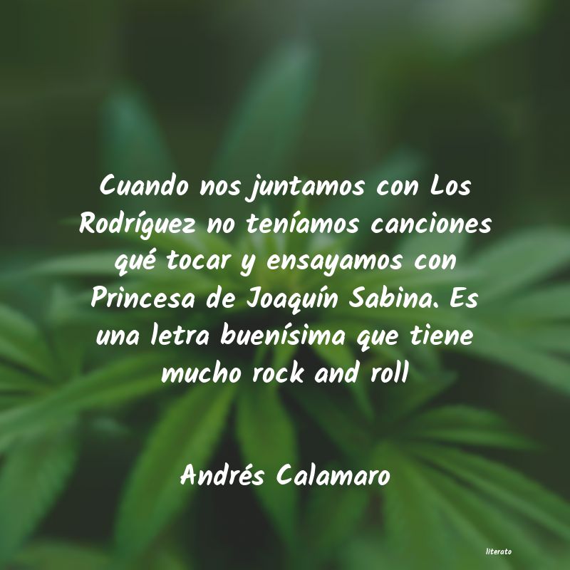 Frases de Andrés Calamaro