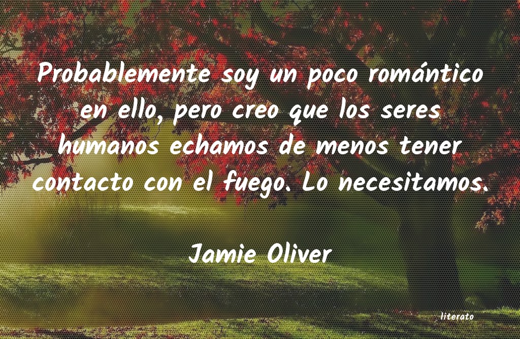 frases de Jamie Oliver