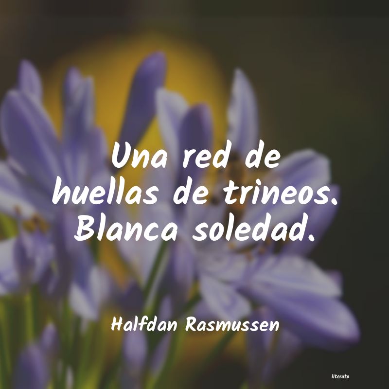 Frases de Halfdan Rasmussen