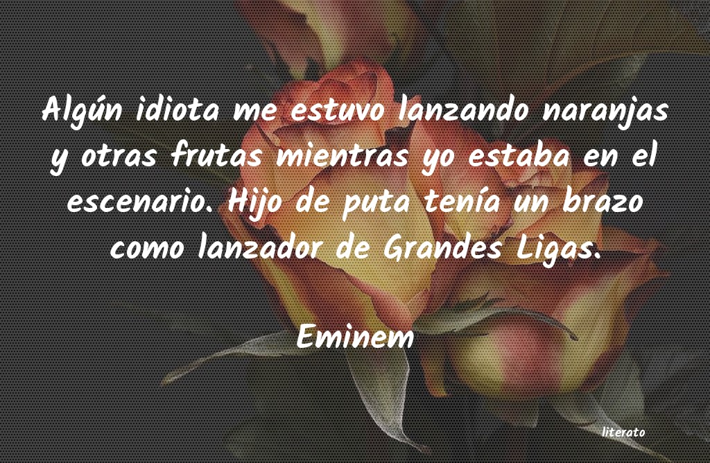 Frases de Eminem