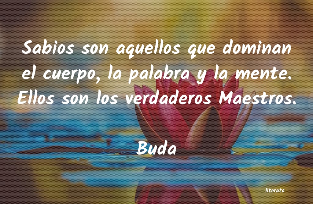 Frases de Buda