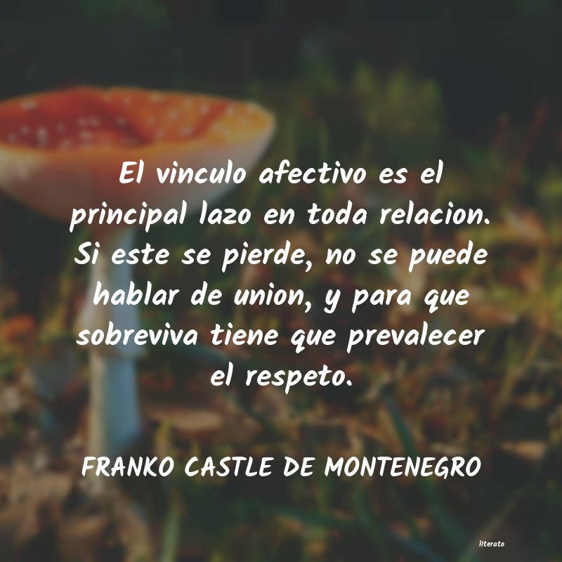 Frases de FRANKO CASTLE DE MONTENEGRO