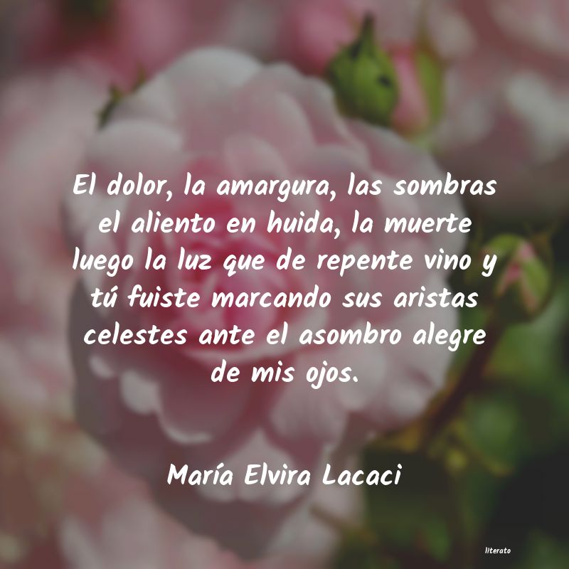 frases de MarÃa Elvira Lacaci