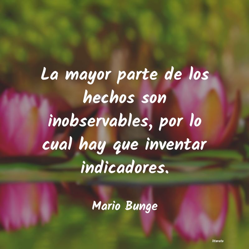 Frases de Mario Bunge