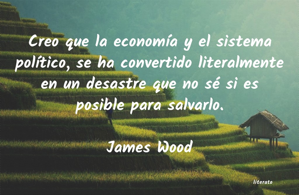 Frases de James Wood
