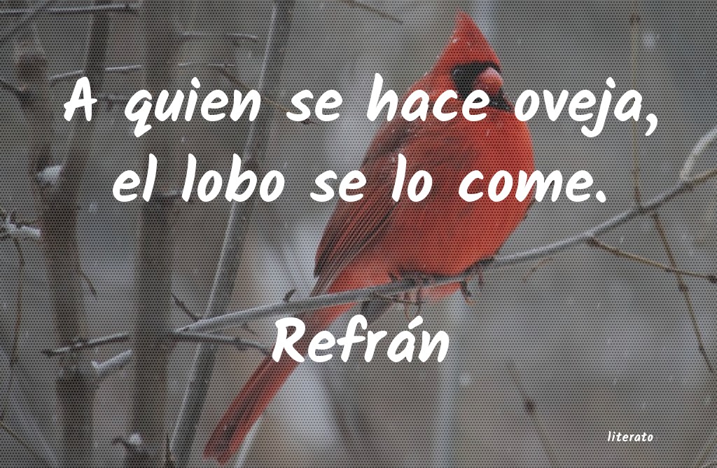 Frases de Refrán