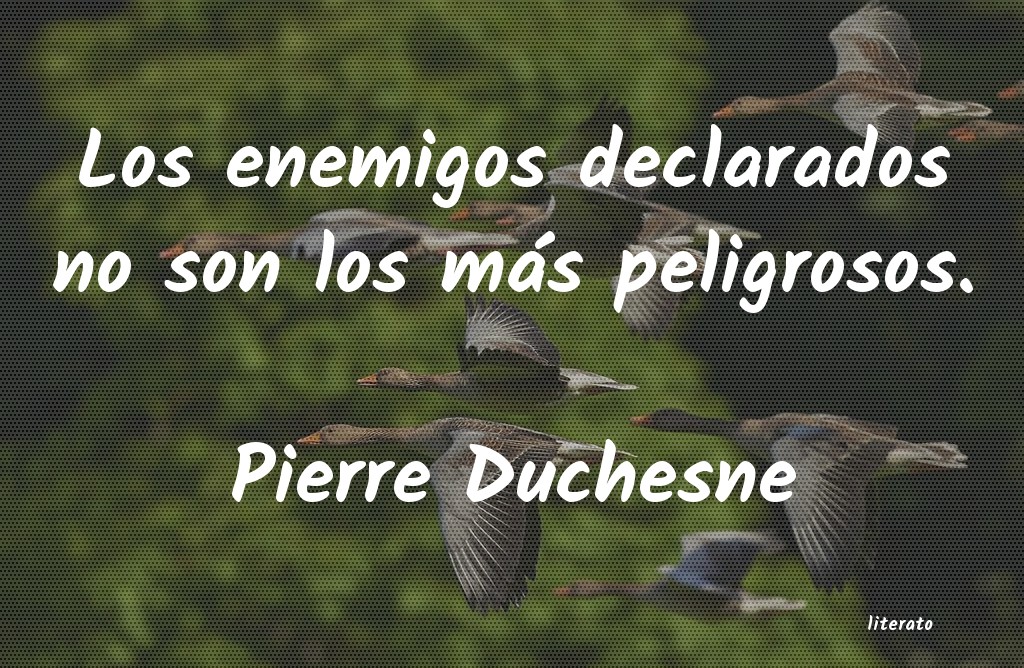 Frases de Pierre Duchesne
