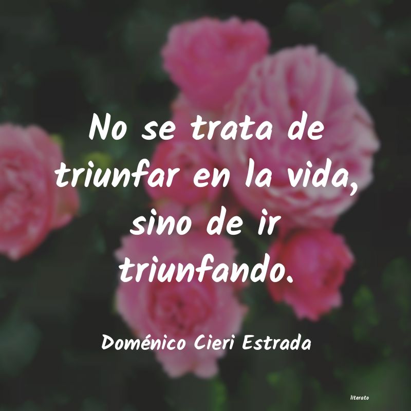 Frases de Doménico Cieri Estrada