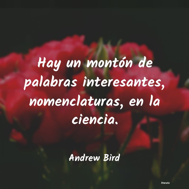 Frases de Andrew Bird