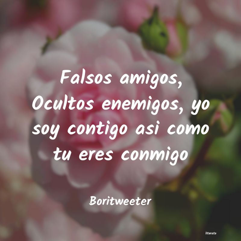 Frases de Boritweeter