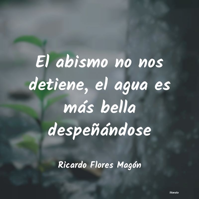 Frases de Ricardo Flores Magón