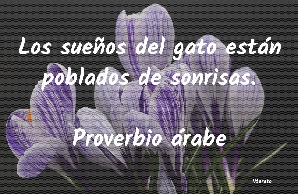 Frases de Proverbio árabe