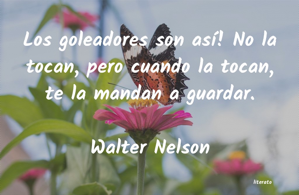 Frases de Walter Nelson