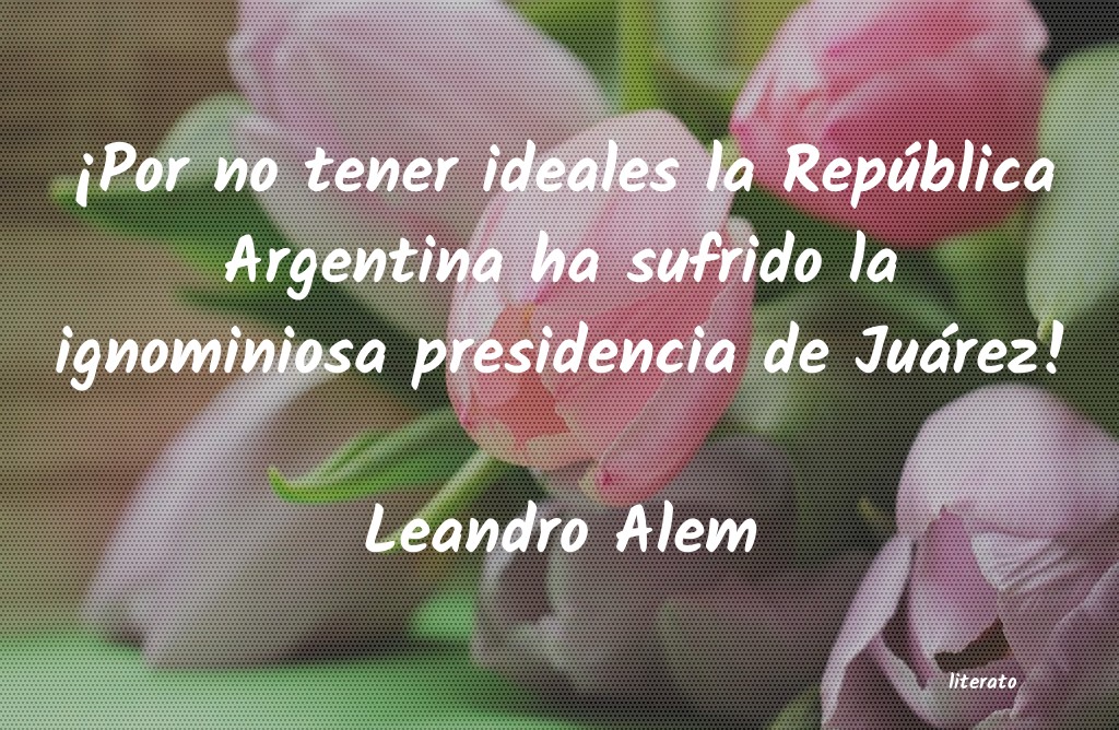 frases de Leandro Alem