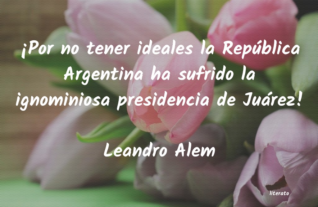 Frases de Leandro Alem