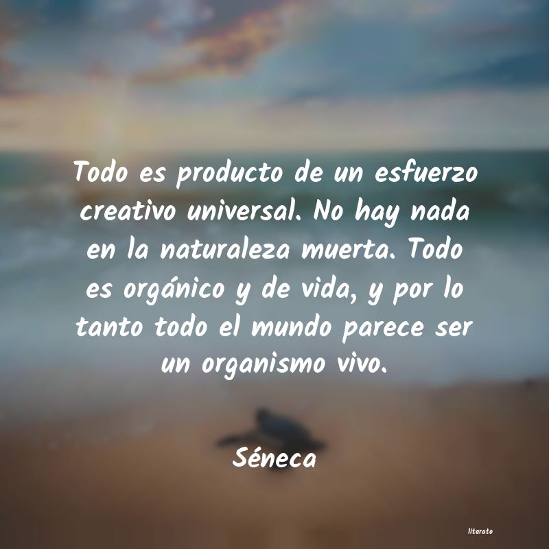 Frases de Séneca